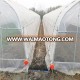 Skyplant Agriculture Greenhouse For Vegetables And Flowers