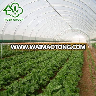 Tunnel PE Film Agricultural Economical Tunnel Greenhouse