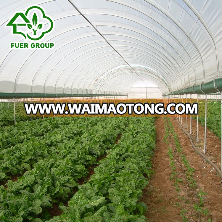 Vegetables planting Low Cost Plastic Film Tunnel Greenhouses