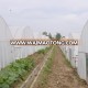 Hoop Greenhouse Kits for Agriculture