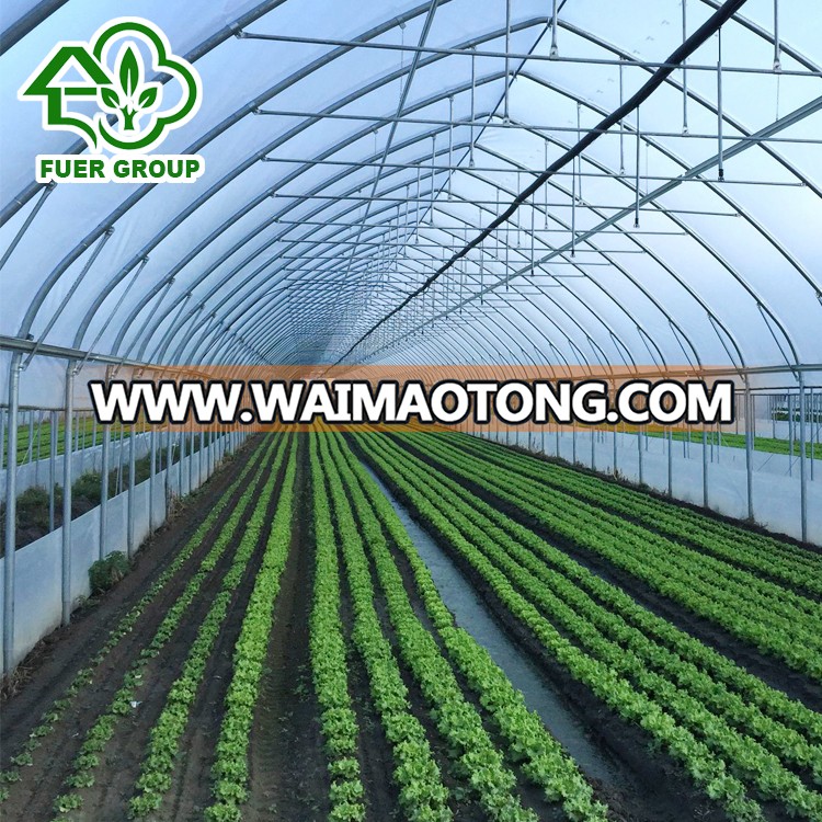 China supplier PE film vegetable tunnel greenhouse